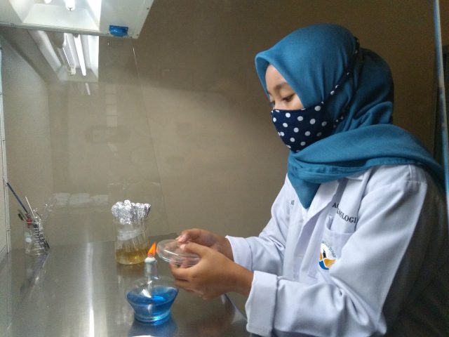 Mahasiswa Agroteknologi UNTIDAR Teliti Jamur Trichodrema sp. Sebagai Agen Hayati Pengendali Penyakit Tanaman